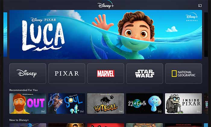 Disney+