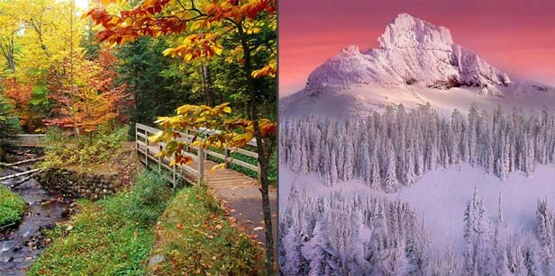 Nature Jigsaw Puzzles